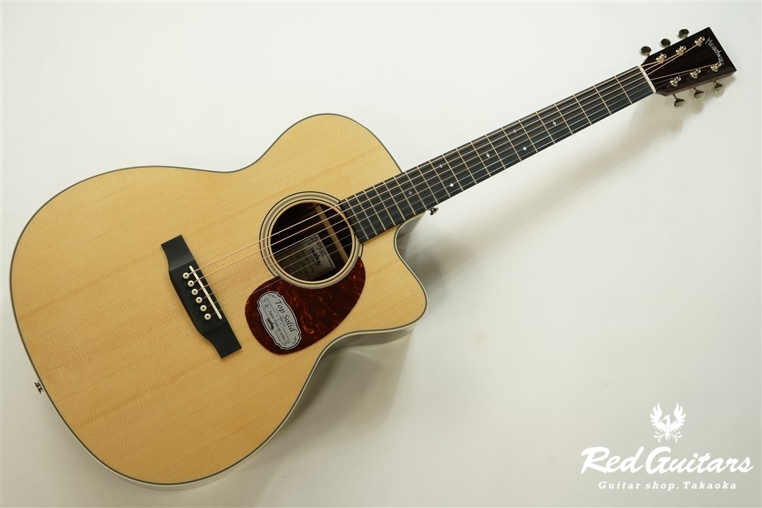 HEADWAY HOC-V090SE/ME | Red Guitars Online Store